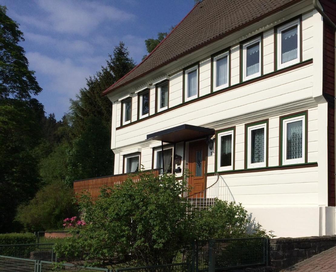 Am Muehlenberg Appartement Altenau  Buitenkant foto