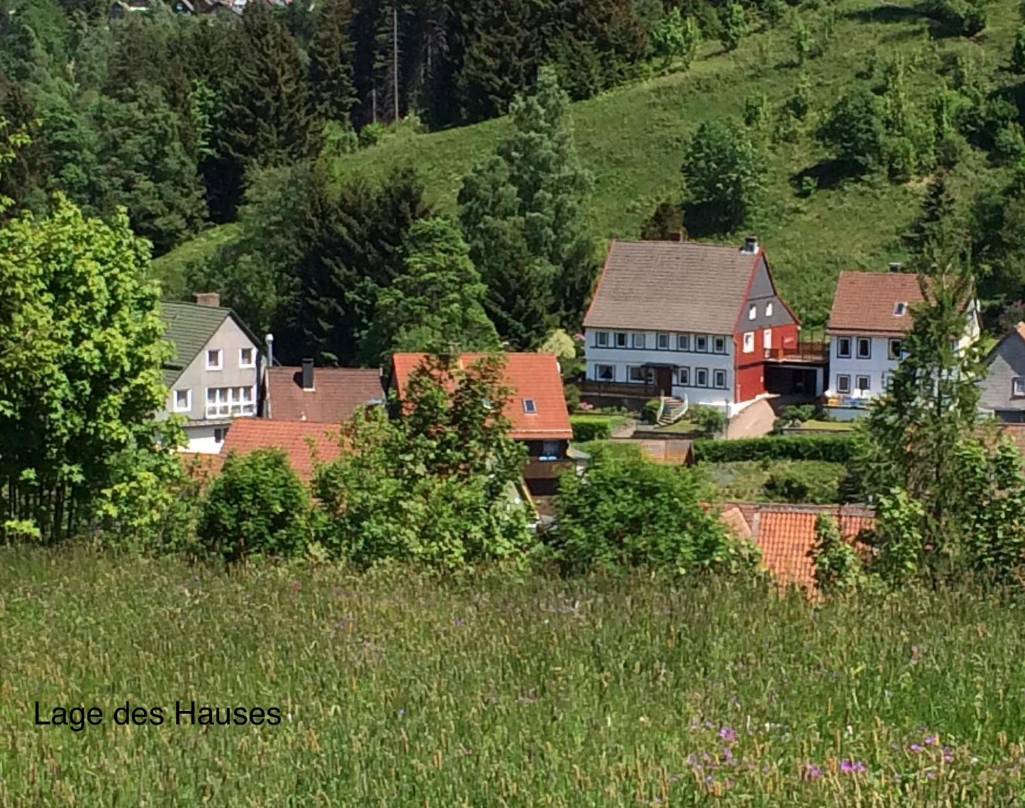 Am Muehlenberg Appartement Altenau  Buitenkant foto