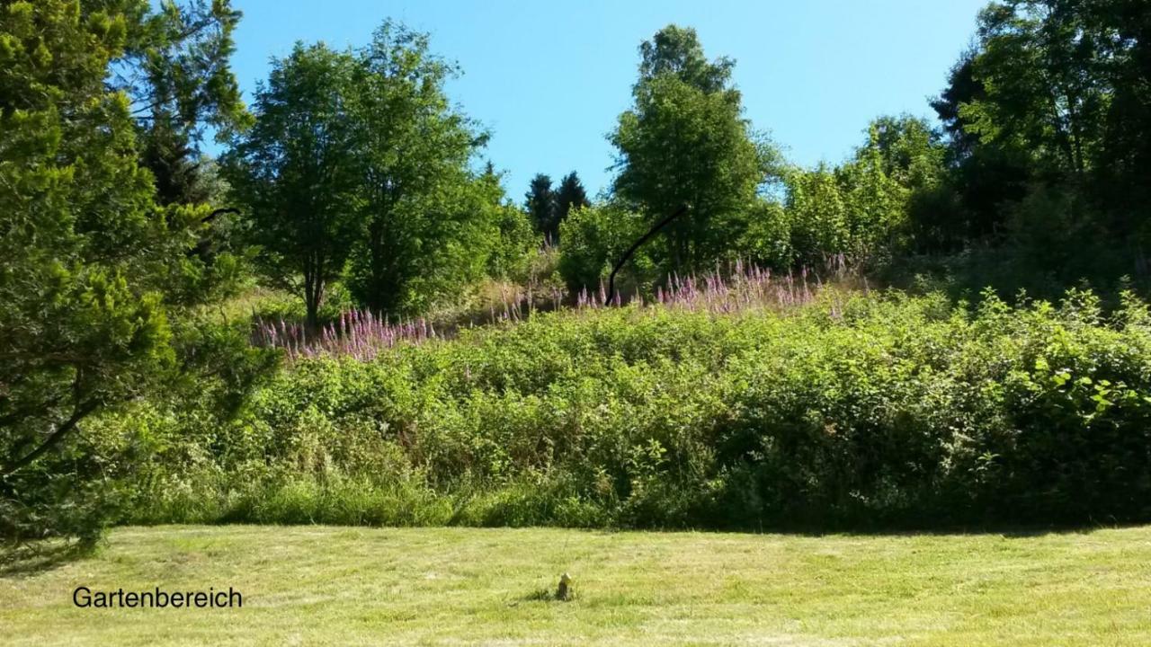 Am Muehlenberg Appartement Altenau  Buitenkant foto